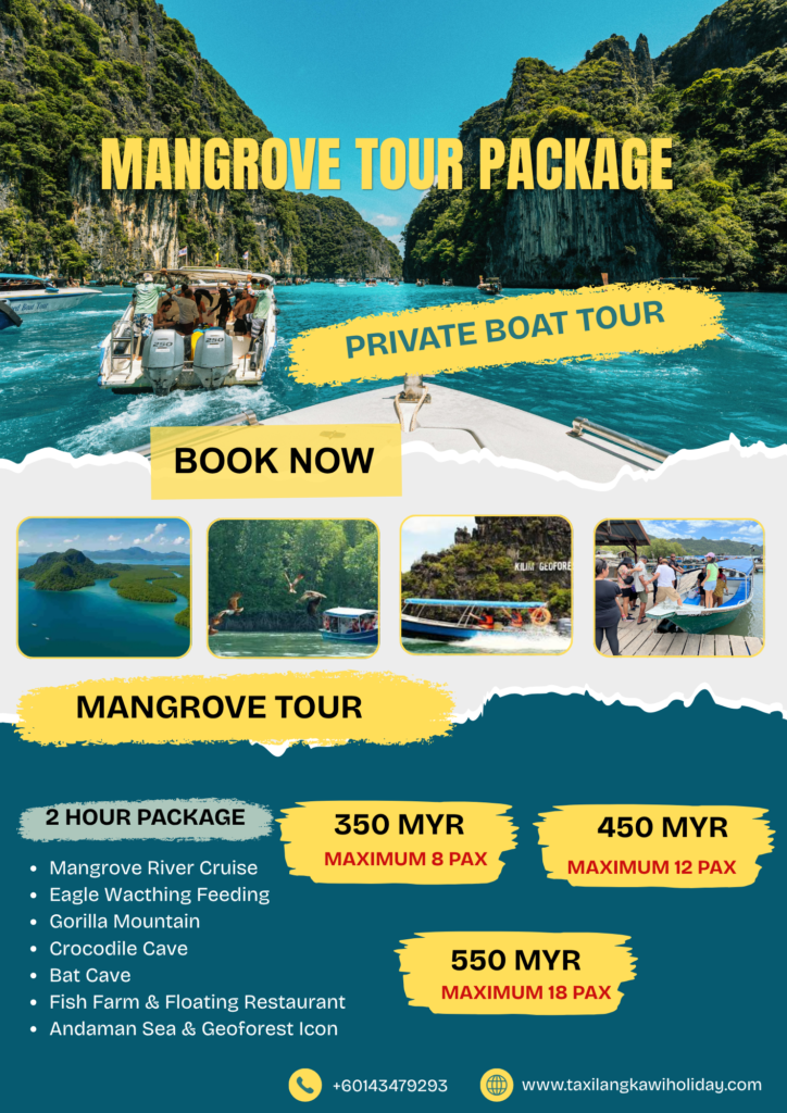 mangrove tour