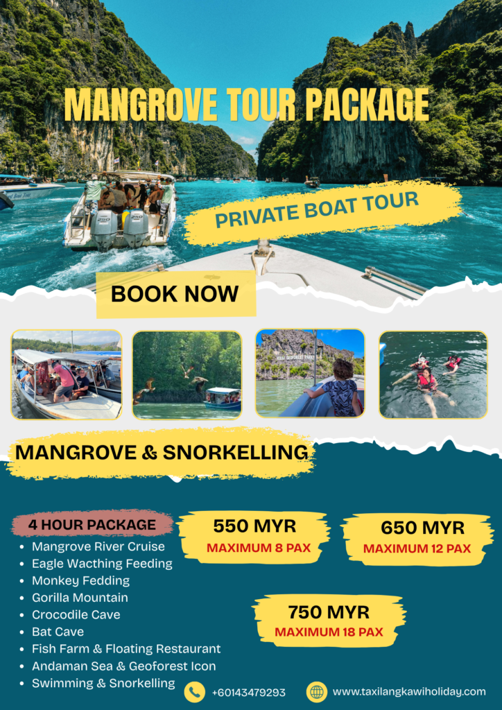 mangrove