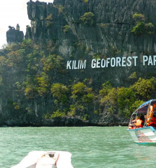 MANGROVE TOUR